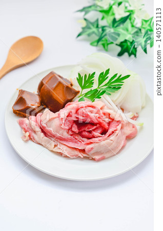 Ingredients for a stew placed on a plate Ingredients for a stew placed on a plate 140571113
