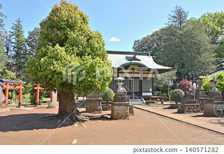 岩槻散步:六天神社、馬輜六天神社、參拜堂 岩槻散步:六天神社、馬輜六天神社、參拜堂 140571282