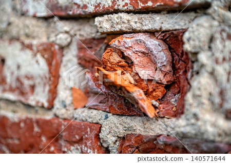 Brick wall with peeling paint showing texture and structure in urban environment Brick wall with peeling paint showing texture and structure in urban environment 140571644
