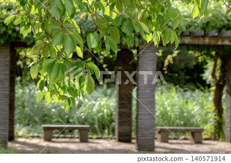 公園的長椅上 公園的長椅上 140571914