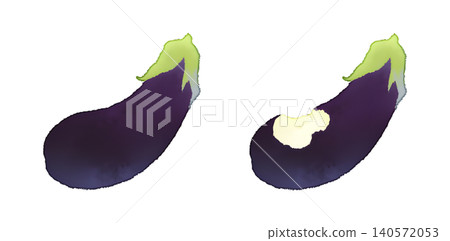 一組 2 種類型的綠色茄子莖(正常和被咬過的),水彩風格,透明 PNG 格式。 一組 2 種類型的綠色茄子莖(正常和被咬過的),水彩風格,透明 PNG 格式。 140572053