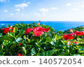 Okinawa's blue sea, sky, and hibiscus (A) 140572054