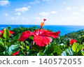 Okinawa's blue sea, sky, and hibiscus (B) 140572055