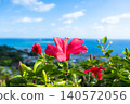 Okinawa's blue sea, sky, and hibiscus flowers (C) 140572056