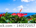 Okinawa's blue sea, sky, and hibiscus flowers (D) 140572057