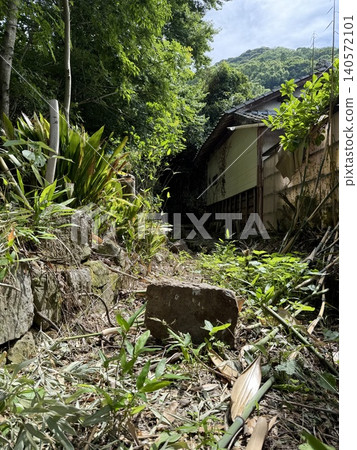 野豬從一塊不知名土地上的石牆上掉落的石頭。 野豬從一塊不知名土地上的石牆上掉落的石頭。 140572101
