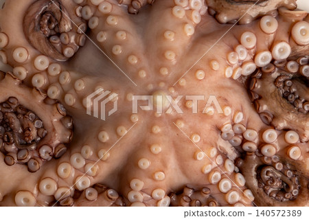 Fresh raw octopus on white background, detailed close up of tentacles and suckers showcasing texture and pattern for culinary, seafood and gastronomic uses, studio shot Fresh raw octopus on white background, detailed close up of tentacles and suckers showcasing texture and pattern for culinary, seafood and gastronomic uses, studio shot 140572389