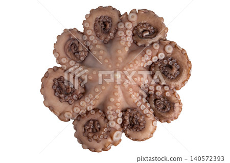 Octopus resting on a white background, showcasing its many tentacles with visible suction cups, ready for cooking and preparing various seafood dishes 140572393