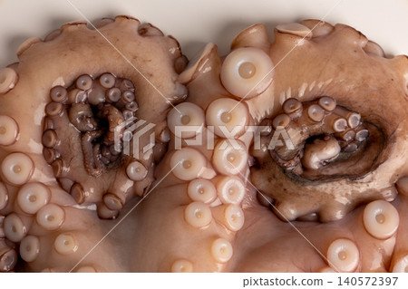 Raw octopus tentacles featuring visible suckers, illustrating the intricate texture and appearance of fresh cephalopod seafood for cooking or biological study 140572397