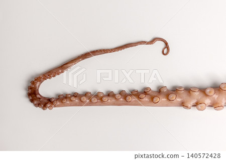 Octopus tentacle with visible suckers displaying fresh seafood texture and ready for cooking, representing marine life and gourmet cuisine ingredients against a plain backdrop Octopus tentacle with visible suckers displaying fresh seafood texture and ready for cooking, representing marine life and gourmet cuisine ingredients against a plain backdrop 140572428