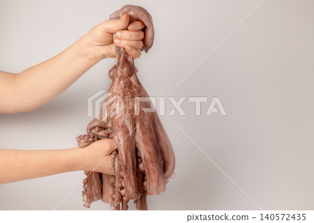 Hands holding a fresh whole raw octopus against a light background, tentacles visible as the chef prepares the seafood ingredient for cooking in a kitchen or studio setting Hands holding a fresh whole raw octopus against a light background, tentacles visible as the chef prepares the seafood ingredient for cooking in a kitchen or studio setting 140572435