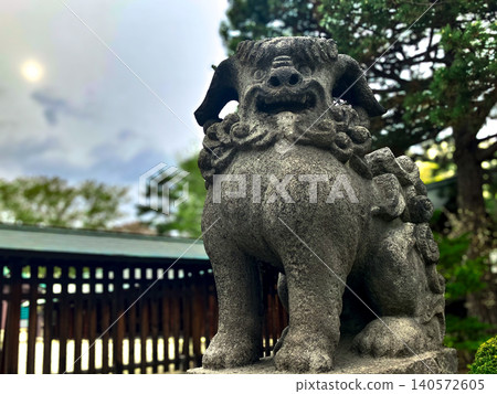 Sapporo Gokoku Shrine, guardian lion-dogs, Chuo Ward, Sapporo City, cloudy. Sapporo Gokoku Shrine, guardian lion-dogs, Chuo Ward, Sapporo City, cloudy. 140572605