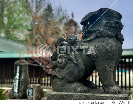 Sapporo Gokoku Shrine, guardian lion-dogs, Chuo Ward, Sapporo City, cloudy. Sapporo Gokoku Shrine, guardian lion-dogs, Chuo Ward, Sapporo City, cloudy. 140572606