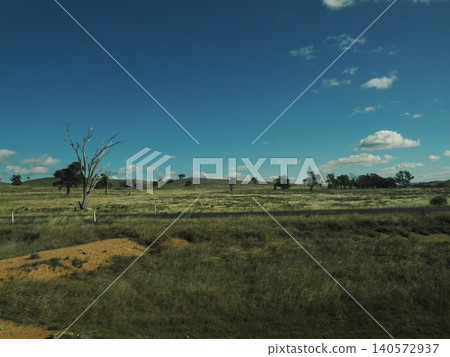 A single tree stands in a dry grassland—a tranquil landscape painted by the vast sky and earth. 140572937