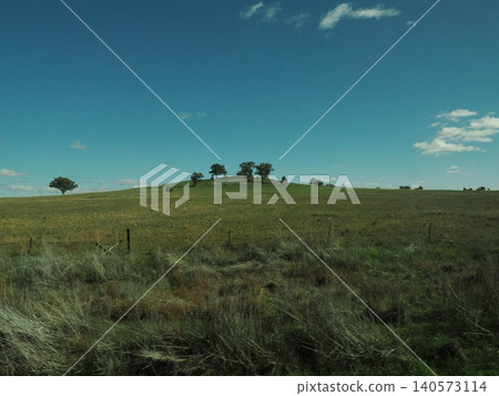 A view from the train window of trees scattered on a hilltop—the gentle landscape depicted by the expanse of grassland. 140573114