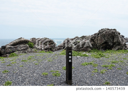 Muroto Cape, a national scenic spot: Ushikaku Rock (Muroto City, Kochi Prefecture) 140573439