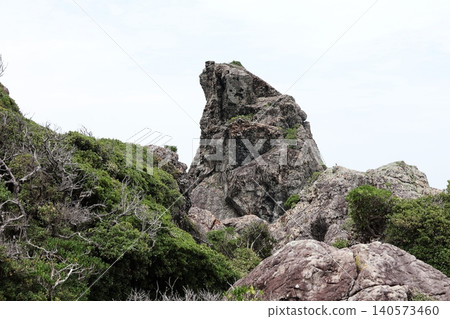 Eboshi Rock at Cape Muroto (Muroto City, Kochi Prefecture) 140573460