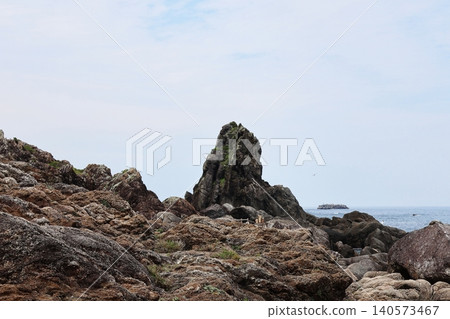 Bishago Rock at Cape Muroto (Muroto City, Kochi Prefecture) 140573467