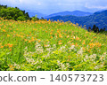 Hakusan Alpine Botanical Garden, where daylilies are in full bloom. 140573723