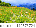 Hakusan Alpine Botanical Garden, where daylilies are in full bloom. 140573724