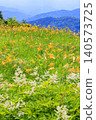 Hakusan Alpine Botanical Garden, where daylilies are in full bloom. 140573725