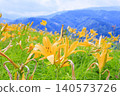 Hakusan Alpine Botanical Garden, where daylilies are in full bloom. 140573726
