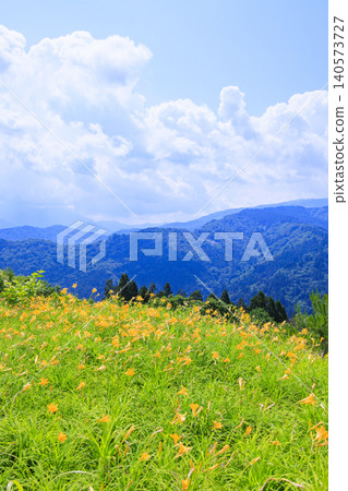Hakusan Alpine Botanical Garden, where daylilies are in full bloom. Hakusan Alpine Botanical Garden, where daylilies are in full bloom. 140573727