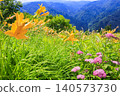 Hakusan Alpine Botanical Garden, where daylilies are in full bloom. 140573730