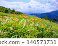 Hakusan Alpine Botanical Garden, where daylilies are in full bloom. 140573731