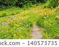 Hakusan Alpine Botanical Garden, where daylilies are in full bloom. 140573735