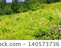 Hakusan Alpine Botanical Garden, where daylilies are in full bloom. 140573736