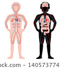 blood circulation throughout the body 140573774