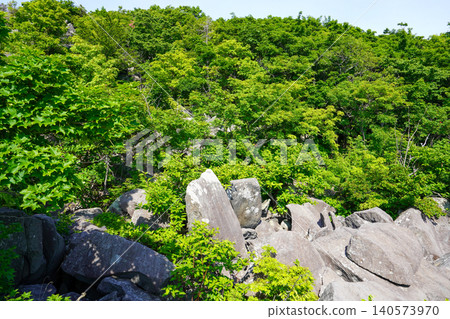 Rocks and forests at Ofuyu Cape Rock Park 140573970
