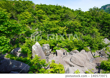 Rocks and forests at Ofuyu Cape Rock Park 140573971