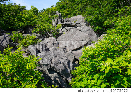 Rocks and forests at Ofuyu Cape Rock Park Rocks and forests at Ofuyu Cape Rock Park 140573972