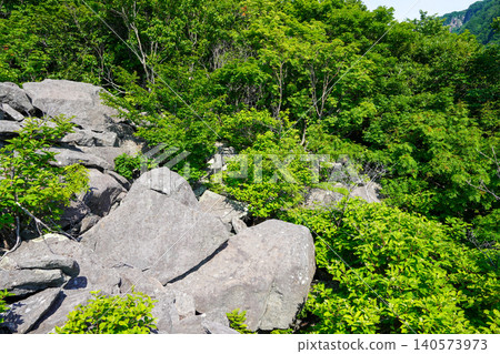 Rocks and forests at Ofuyu Cape Rock Park Rocks and forests at Ofuyu Cape Rock Park 140573973