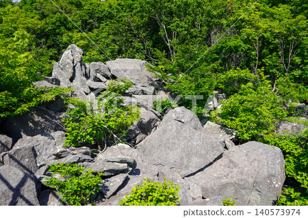 Rocks and forests at Ofuyu Cape Rock Park 140573974