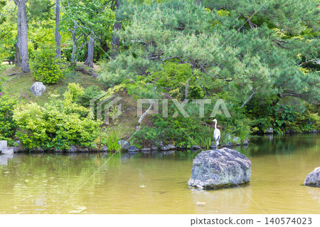 京都圓山公園景色和一隻蒼鷺。 京都圓山公園景色和一隻蒼鷺。 140574023