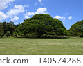 A giant monkeypod tree in Hawaii under a blue sky 140574288