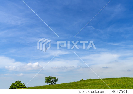 Early summer blue skies, clouds, and grasslands Early summer blue skies, clouds, and grasslands 140575013