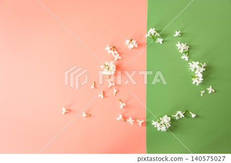 Pastel spring background with scattered lilac blossoms Pastel spring background with scattered lilac blossoms 140575027
