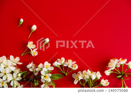 airy spring flowers composition with white blossoms on red airy spring flowers composition with white blossoms on red 140575086