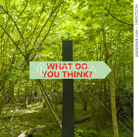 What do you think words symbol. Concept words What do you think on beautiful green road sign. Beautiful green forest background. Business What do you think motivational support concept. Copy space. What do you think words symbol. Concept words What do you think on beautiful green road sign. Beautiful green forest background. Business What do you think motivational support concept. Copy space. 140575234