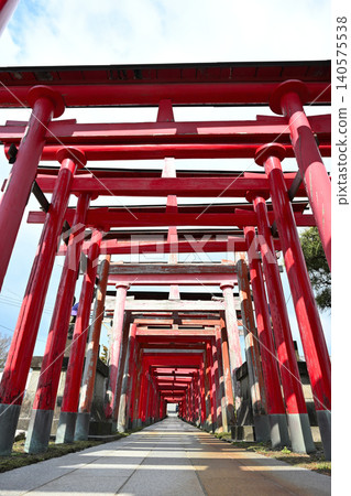 五平稻荷神社的鳥居排與入口(新潟縣新潟市西區) 五平稻荷神社的鳥居排與入口(新潟縣新潟市西區) 140575538