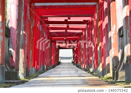 The row of torii gates and the approach to Gohei Inari Shrine (Nishi Ward, Niigata City, Niigata Prefecture) The row of torii gates and the approach to Gohei Inari Shrine (Nishi Ward, Niigata City, Niigata Prefecture) 140575542