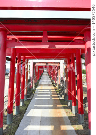 五平稻荷神社的鳥居排與入口(新潟縣新潟市西區) 五平稻荷神社的鳥居排與入口(新潟縣新潟市西區) 140575546