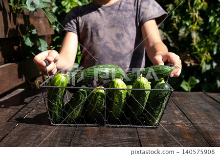 Freshly Freshly 140575908