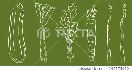 Hand-drawn summer vegetables, radish, leek, carrot, asparagus line art drawing for grocery shop, farmer market, ingredients, menu Hand-drawn summer vegetables, radish, leek, carrot, asparagus line art drawing for grocery shop, farmer market, ingredients, menu 140575920