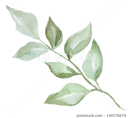 Hand drawn watercolor twig with green leaves, botanical greenery isolated illustration, single element Hand drawn watercolor twig with green leaves, botanical greenery isolated illustration, single element 140576679