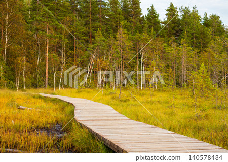 Wooden boardwalk winding through grass clearing in forest. Eco trail path for nature walking and hiking. Sustainable tourism route in wilderness, outdoor recreation environment. Wooden boardwalk winding through grass clearing in forest. Eco trail path for nature walking and hiking. Sustainable tourism route in wilderness, outdoor recreation environment. 140578484